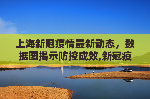 上海新冠疫情最新动态，数据图揭示防控成效,新冠疫情上海最新消息:上海新冠疫情最新数据图