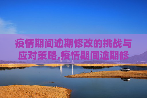 疫情期间逾期修改的挑战与应对策略,疫情期间逾期修改的挑战与应对策略