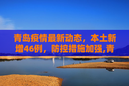 青岛疫情最新动态，本土新增46例，防控措施加强,青岛新增本土46例