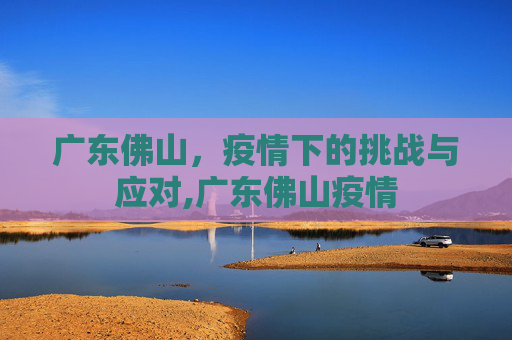 广东佛山，疫情下的挑战与应对,广东佛山疫情