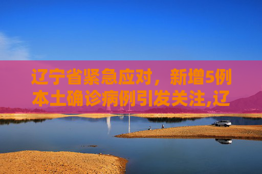 辽宁省紧急应对，新增5例本土确诊病例引发关注,辽宁省新增5例本土确诊病例
