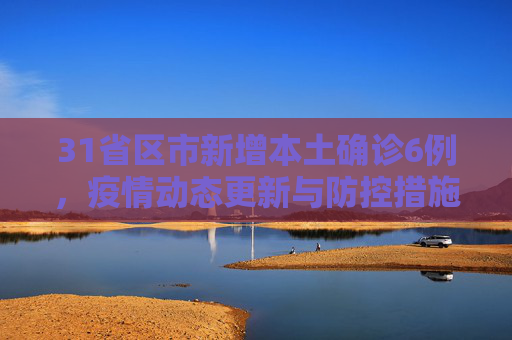 31省区市新增本土确诊6例，疫情动态更新与防控措施,31省区市新增本土确诊6例
