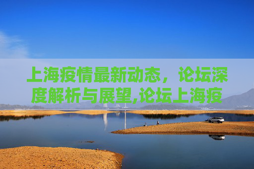 上海疫情最新动态，论坛深度解析与展望,论坛上海疫情最新