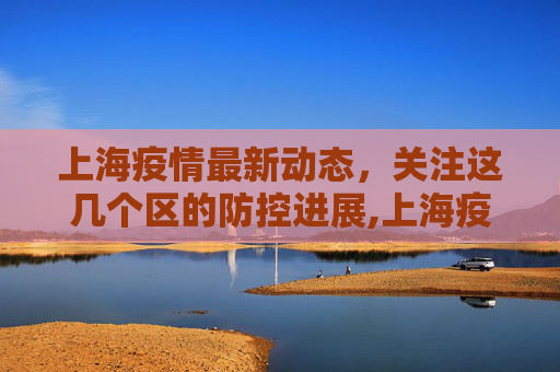 上海疫情最新动态，关注这几个区的防控进展,上海疫情最新消息在哪几个区