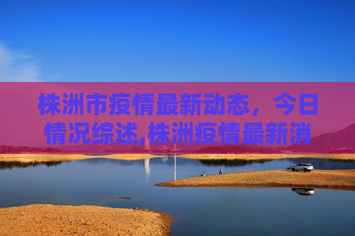 株洲市疫情最新动态，今日情况综述,株洲疫情最新消息今天