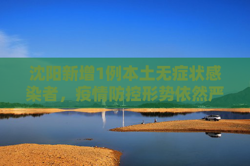 沈阳新增1例本土无症状感染者，疫情防控形势依然严峻,沈阳增1例本土无症状感染者