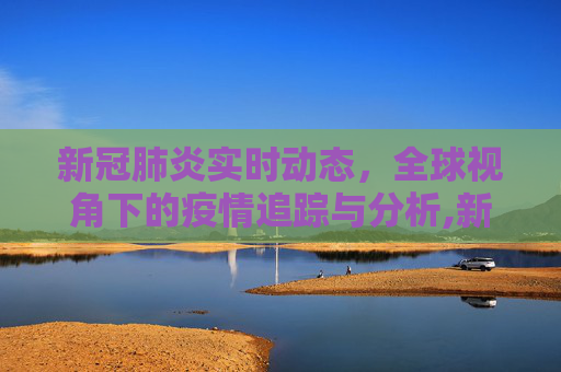 新冠肺炎实时动态，全球视角下的疫情追踪与分析,新冠肺炎实时动态