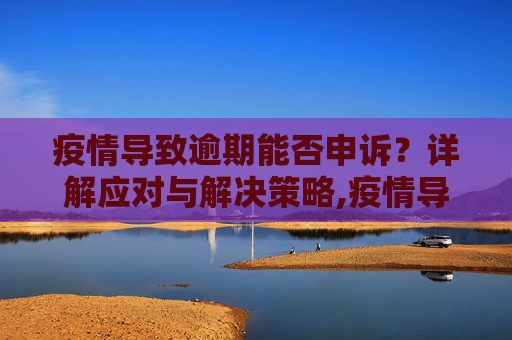 疫情导致逾期能否申诉？详解应对与解决策略,疫情导致逾期能否申诉？详解应对与解决策略