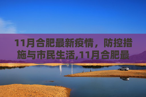 11月合肥最新疫情，防控措施与市民生活,11月合肥最新疫情
