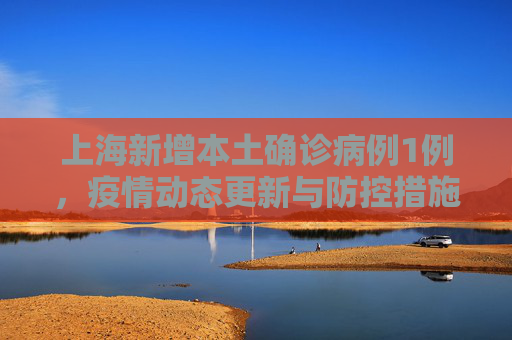 上海新增本土确诊病例1例，疫情动态更新与防控措施,关于上海新增本土确诊1例的信息