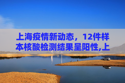 上海疫情新动态，12件样本核酸检测结果呈阳性,上海12件样本核酸检测结果阳性