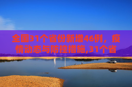 全国31个省份新增46例，疫情动态与防控措施,31个省份新增46例