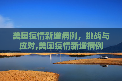 美国疫情新增病例，挑战与应对,美国疫情新增病例