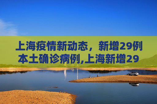 上海疫情新动态，新增29例本土确诊病例,上海新增29例本土确诊病例
