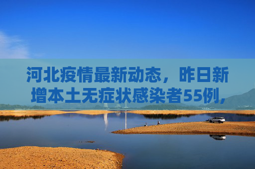 河北疫情最新动态，昨日新增本土无症状感染者55例,河北昨增本土无症状55例