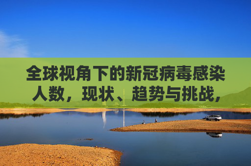 全球视角下的新冠病毒感染人数，现状、趋势与挑战,新型冠状病毒感染人数