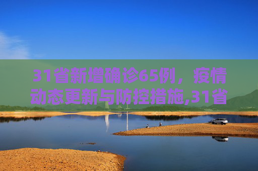 31省新增确诊65例，疫情动态更新与防控措施,31省新增确诊65例