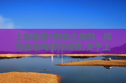 上海新增1例本土病例，疫情动态与防控措施,关于上海新增1例的信息