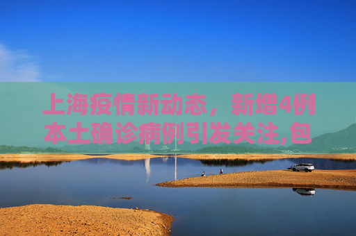 上海疫情新动态，新增4例本土确诊病例引发关注,包含上海新增4例本土确诊病例的词条