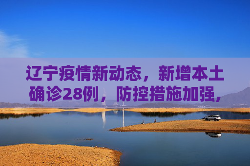 辽宁疫情新动态，新增本土确诊28例，防控措施加强,辽宁新增本土确诊28例