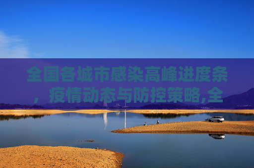全国各城市感染高峰进度条，疫情动态与防控策略,全国各城市感染高峰进度条