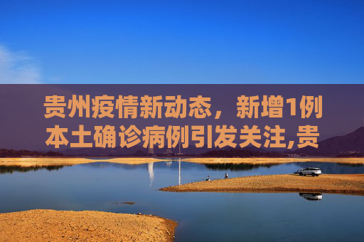贵州疫情新动态，新增1例本土确诊病例引发关注,贵州新增1例本土确诊病例