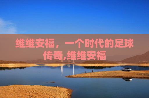 维维安福，一个时代的足球传奇,维维安福
