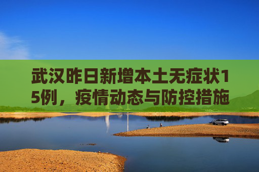 武汉昨日新增本土无症状15例，疫情动态与防控措施,武汉昨日新增本土无症状15例