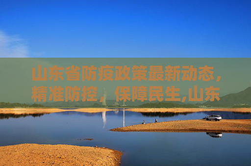 山东省防疫政策最新动态，精准防控，保障民生,山东防疫政策最新
