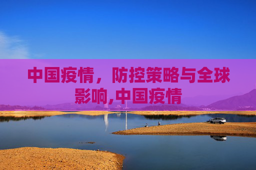 中国疫情，防控策略与全球影响,中国疫情
