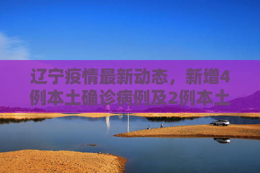辽宁疫情最新动态，新增4例本土确诊病例及2例本土无症状感染者,辽宁新增4例本土确诊病例、2例本土无症状