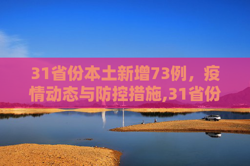 31省份本土新增73例，疫情动态与防控措施,31省份增本土73例