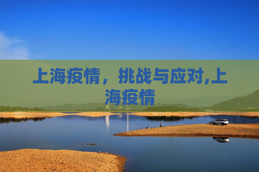 上海疫情，挑战与应对,上海疫情