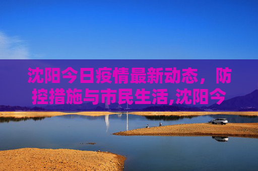沈阳今日疫情最新动态，防控措施与市民生活,沈阳今天疫情最新情况