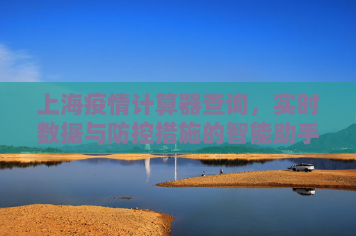 上海疫情计算器查询，实时数据与防控措施的智能助手,上海疫情计算器查询
