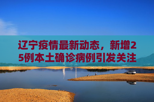 辽宁疫情最新动态，新增25例本土确诊病例引发关注,辽宁新增25例本土确诊病例