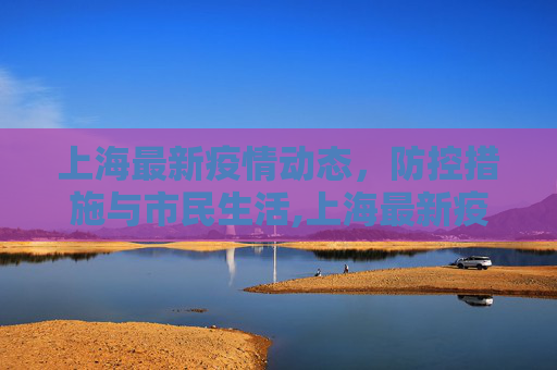 上海最新疫情动态，防控措施与市民生活,上海最新疫情琳