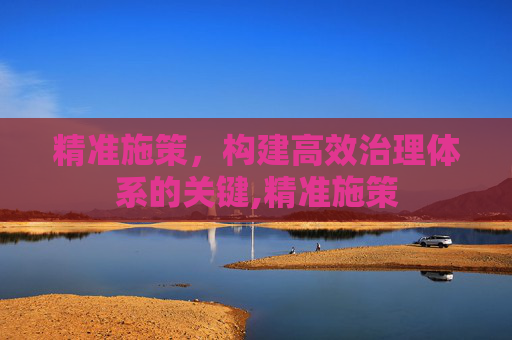 精准施策，构建高效治理体系的关键,精准施策
