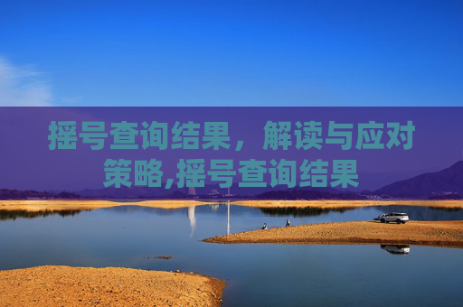 摇号查询结果，解读与应对策略,摇号查询结果