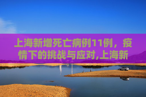 上海新增死亡病例11例，疫情下的挑战与应对,上海新增死亡病例11例