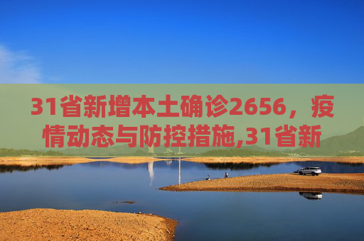31省新增本土确诊2656，疫情动态与防控措施,31省新增本土确诊2656
