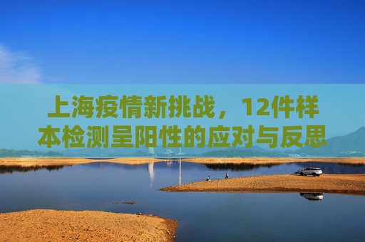 上海疫情新挑战，12件样本检测呈阳性的应对与反思,上海12件样本呈阳性