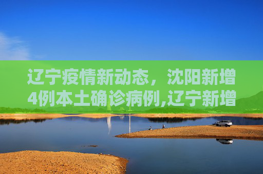 辽宁疫情新动态，沈阳新增4例本土确诊病例,辽宁新增4例本土确诊在沈阳
