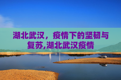 湖北武汉，疫情下的坚韧与复苏,湖北武汉疫情