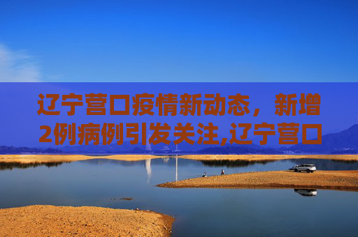 辽宁营口疫情新动态，新增2例病例引发关注,辽宁营口新增2例