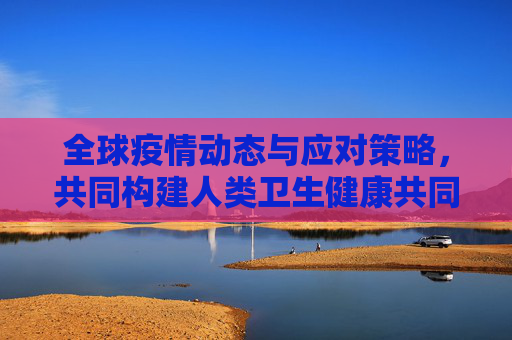 全球疫情动态与应对策略，共同构建人类卫生健康共同体,全球疫情动态与应对策略