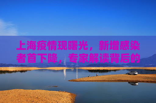 上海疫情现曙光，新增感染者首下降，专家解读背后的积极信号,上海新增感染者首下降专家解读