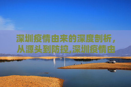 深圳疫情由来的深度剖析，从源头到防控,深圳疫情由来的深度剖析