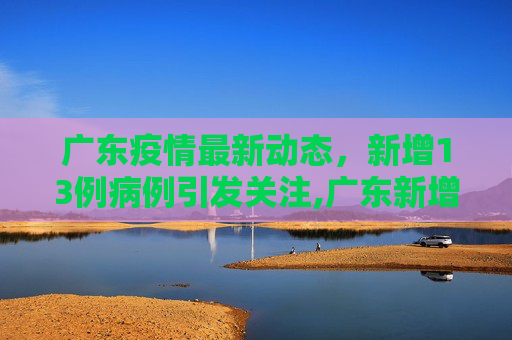 广东疫情最新动态，新增13例病例引发关注,广东新增13例