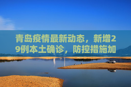 青岛疫情最新动态，新增29例本土确诊，防控措施加强,青岛新增29例本土确诊
